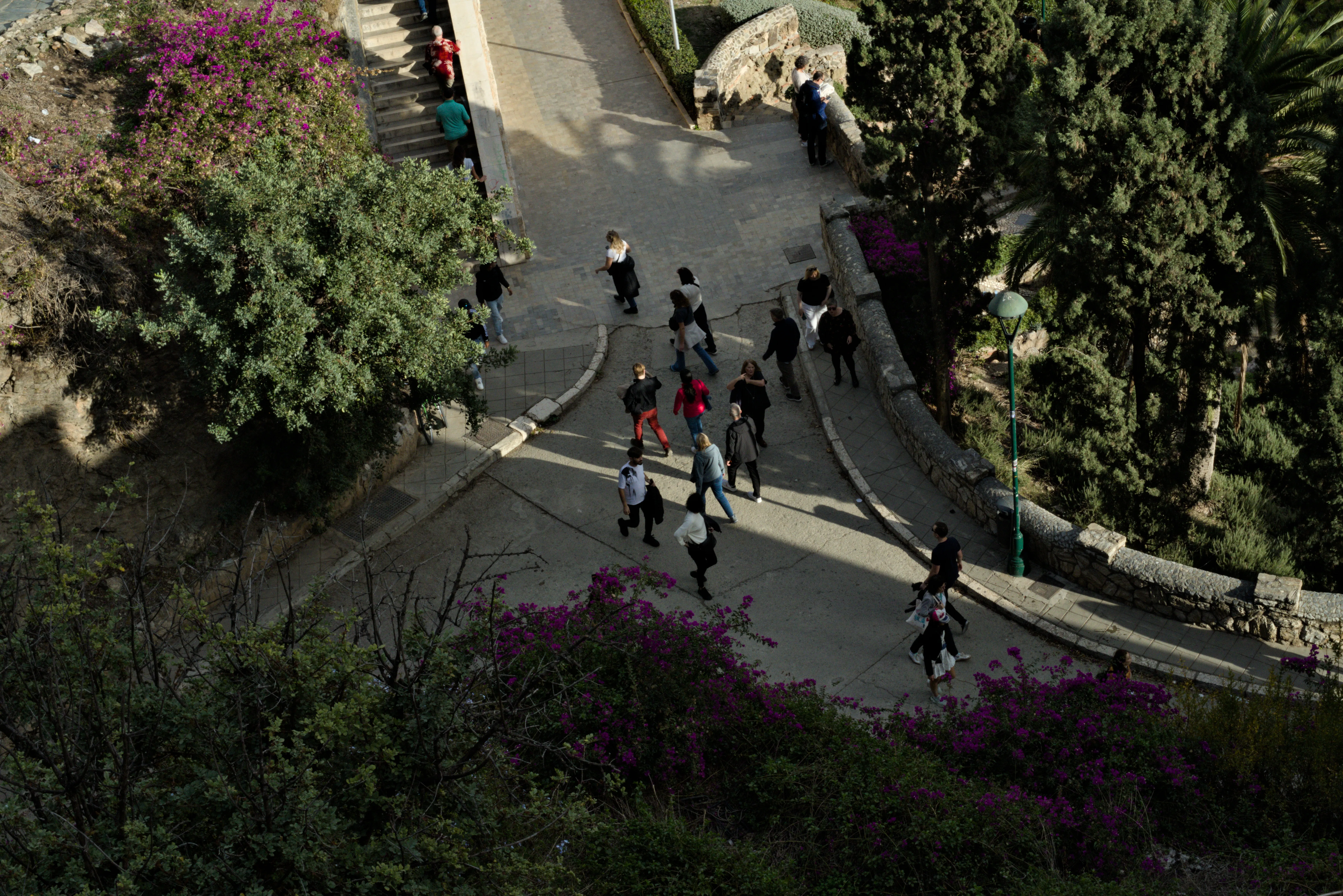 Meyer-Optik Görlitz Primagon 35mm f4.5 (M42) - _I4A7289.webp